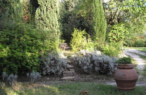 Santa Margherita a Saletta Apartment | Florence countryside independent apartment with pool