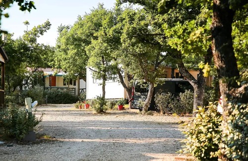 Banon House | Flower Camping le Epi Bleu * - Mobile home Standard 21m2 (2 bedrooms) + covered terrace 8m2 4 people