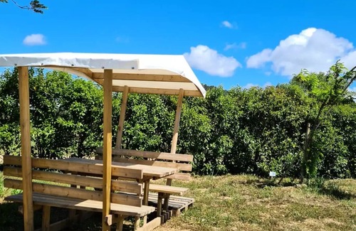 Bize-Minervois House | Flower Camping Olivigne * - Homeflower Premium 29 m2 2 bedrooms + terrace 17m2 + TV + LV + Clim + plancha 4 people
