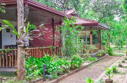 Pallebedda Hotel | For Backpackers -Close to the National Park-