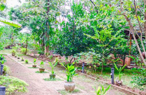 Pallebedda Hotel | For Backpackers -Close to the National Park-