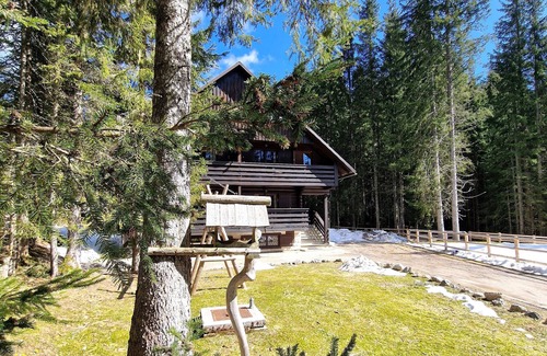 Goreljek Apartment | Forest Apartments Pokljuka - Two-bedroom with balcony