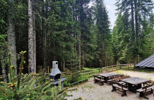 Goreljek Apartment | Forest Apartments Pokljuka - Two-bedroom with balcony