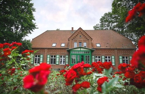 Platschow House | Forest farm in secluded location with fenced 16,000m² park, sauna, fireplace, hot tub in West Mecklenburg