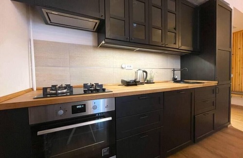 Predeal Apartment | Forest Oasis Studio: free Netflix and Disney+