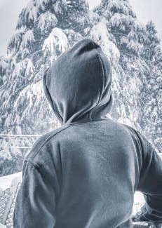 Dalhousie Hotel | Forest Vibes Kalatop