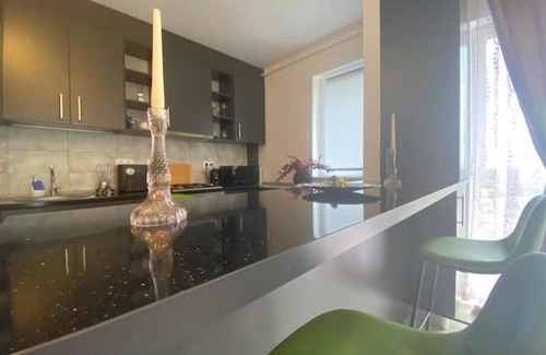 Timisoara Apartment | ForestHouse 1 Apartment Free Parking