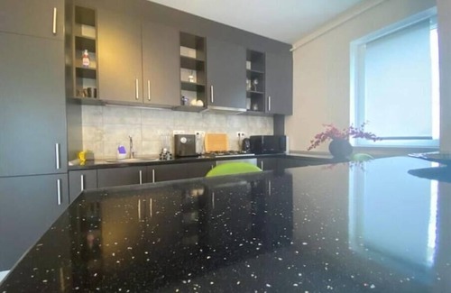 Timisoara Apartment | ForestHouse 1 Apartment Free Parking