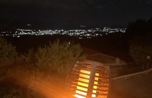 Tripi House | ForestRock Studio FOR SALE TOO