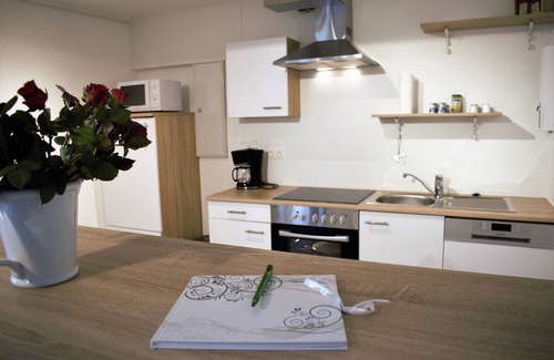 Stadum House | former Rio Reiser house, sauna, dogs welcome, terrace, large property