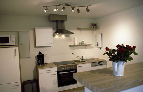 Stadum House | former Rio Reiser house, sauna, dogs welcome, terrace, large property