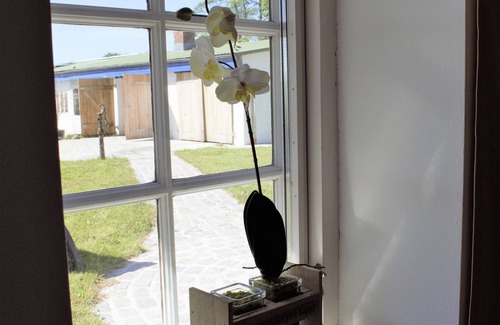 Stadum House | former Rio Reiser house, sauna, dogs welcome, terrace, large property
