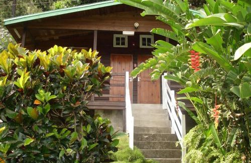 Mavis Bank Cabin | Forres Park Nature Retreat