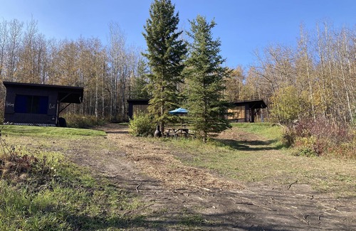 Division No. 11 Ski Chalet | Foxy Den Chalet Cabin - 1 roomnNestled in the valley Pet friendly! Off grid camp