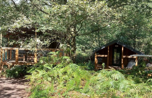 Saint-Pierre-des-Echaubrognes Cabin | Cap Town cabin in the forest