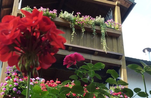 Altotting Apartment | Friendly vacation apartment at the Linde- 4 persons, 60sqm, with balcony