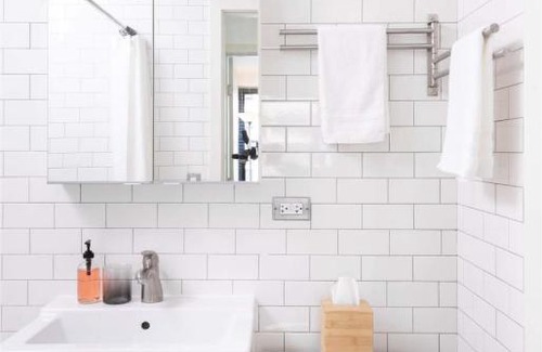 Indian Village Apartment | FRONTDESK 2 BR Apt near University of Chicago