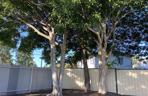 Woodridge House | Fully renovated, clean and tidy private house in Logan