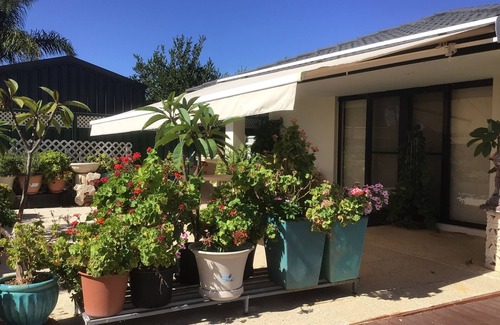 Jandakot Apartment | Fully Self contained spacious granny flat to rear of owners home.