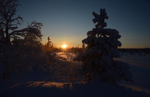 Trysil House | Fulufjellet nationalpark Lodge - Home of snow, nature and peace