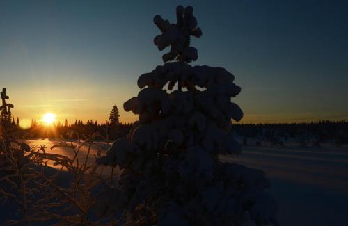 Trysil House | Fulufjellet nationalpark Lodge - Home of snow, nature and peace