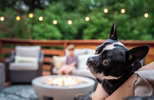 Perry Park House | *Fun for All *LUX Hot Tub *Fire Pit *Games Galore
