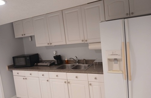 Lisgar Apartment | furnished basement studio, with1 queen bed, a kitchenette, and 1 bathroom. n
