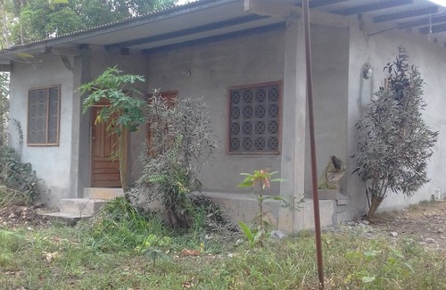 Meteti House | Furnished Darien Cozy Nature Lovers Farmhouse