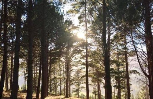 Helderberg Rural House | Fynbos Log Cabin, Game Reserve and Wildlife Estate