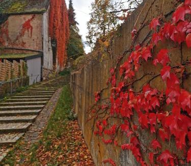 Siegenburg Bed & Breakfast | Gästezimmer Reitinger