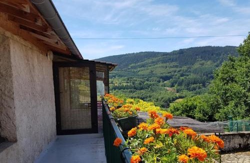 Laprugne House | Gîte calme avec poêle à bois, terrasse et animaux admis - FR-1-489-470