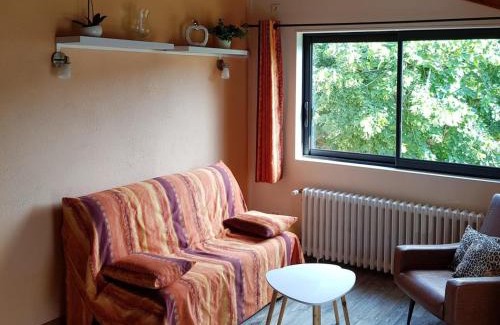 Laprugne House | Gîte calme avec poêle à bois, terrasse et animaux admis - FR-1-489-470