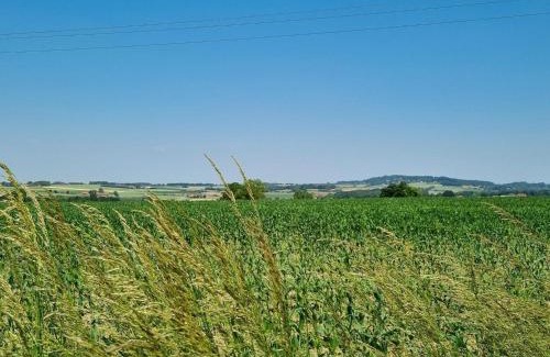 Meteren House | Gîte confortable à la ferme avec WIFI et animaux admis - FR-1-510-229