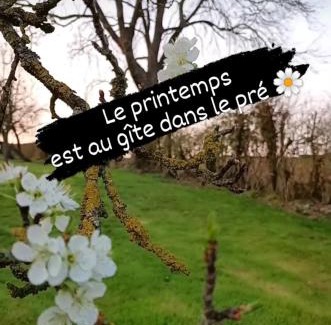 Carly House | Gîte dans le pré Hesdin l'abbé