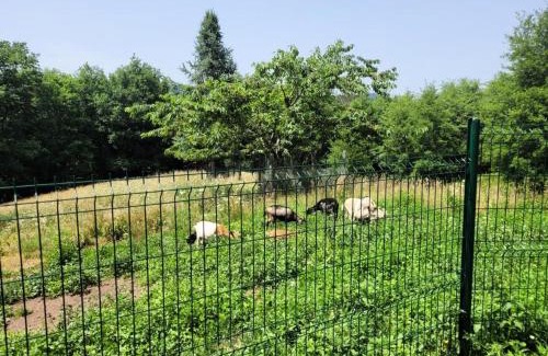 Aubazine Apartment | Gîte de France Gite capucine 2 épis - Gîte de France 2 personnes MAE-6564