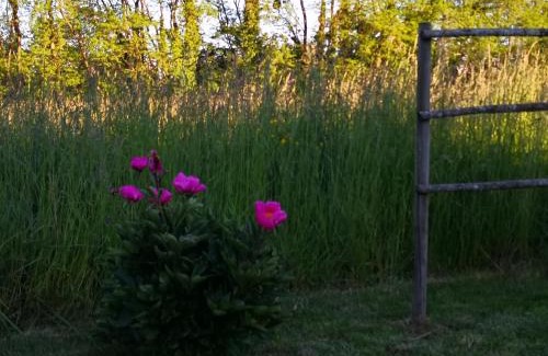 Bruailles House | Gîte de la Ferme de la Terve