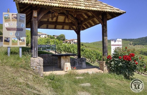 Fleurie House | Gîte du Chais - FLEURIE