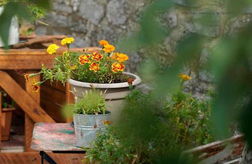 Falaen Apartment | Gîte familial ferme des aujes falaen