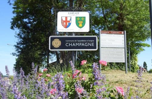 Colombey-les-deux-Eglises House | Gîte indépendant avec SPA, jardin, terrain de pétanque, proche vignoble du Champagne à Colombey - FR-1-611-45