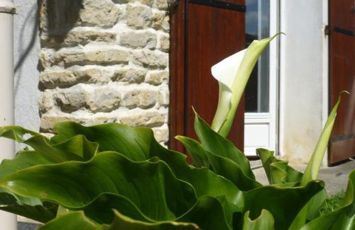 Maille House | Gîte La Cibulle