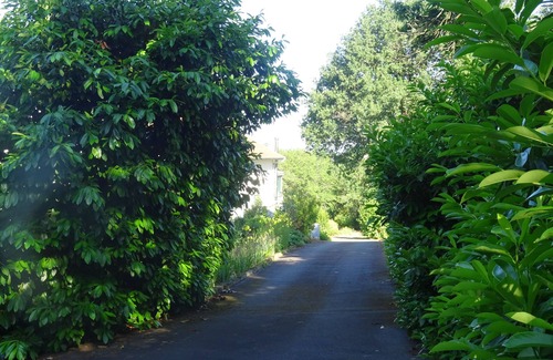 Saint-Genest Apartment | Gîte la clef de voûte améthyste