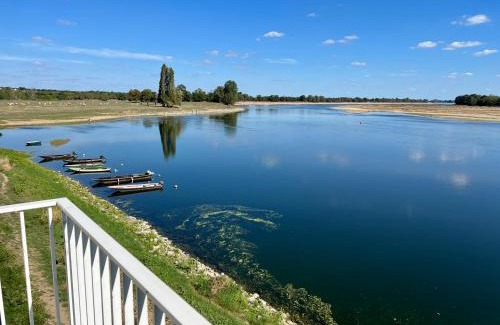 Ingrandes-Le Fresne sur Loire House | Gîte Loirizon vue Loire 4 personnes