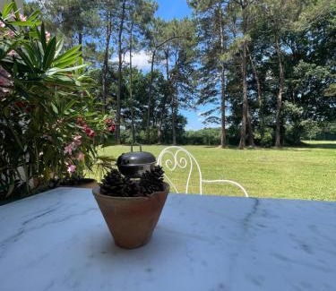 Came Apartment | Gîte Pays Basque Domaine de La Lande "Les pins"