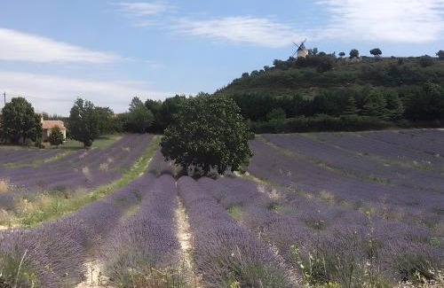Revest-des-Brousses House | Gîte Provence Luberon Paca Pmr