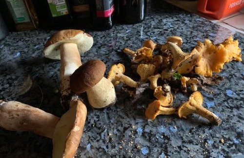Cause-de-Clerans House | Gîtes de Charme "LE BIBENDÔME" et "LES MOTS BLEUS en pleine forêt