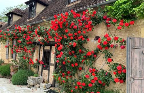 Cause-de-Clerans House | Gîtes de Charme "LE BIBENDÔME" et "LES MOTS BLEUS en pleine forêt