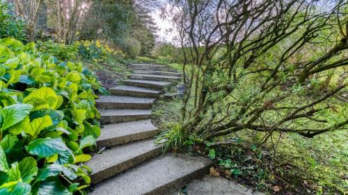 Marianglas House | Gamdda Fawr