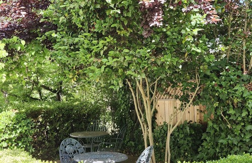 Sutter Creek Apartment | Garden Room | Walk to Wine, Food | Dog Friendly!