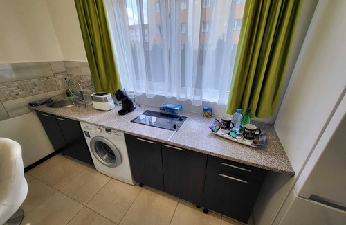 Sibiu Apartment | Garsoner Green Home