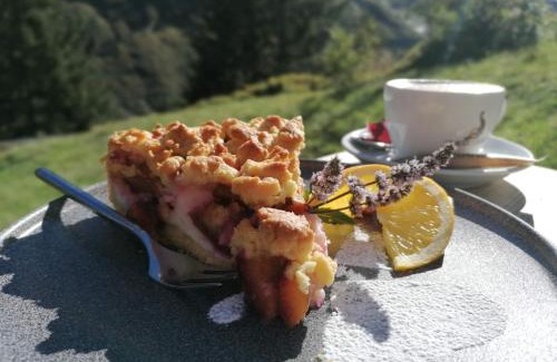 Goeschenen Hotel | Gasthaus Göscheneralp